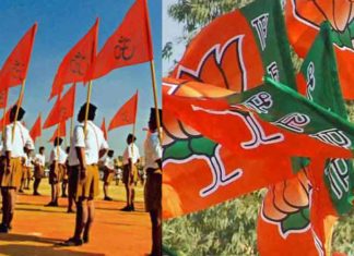 മലബാർ സമരം ദേശീയതലത്തിൽ ചർച്ചയാക്കാൻ സംഘപരിവാർ; കുമാരനാശാന്റെ മരണത്തിലും ആരോപണം RSS criticised BJP for election failure