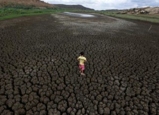 അതിതീവ്ര വരള്ച്ച; ബ്രസീലിൽ കാർഷിക മേഖല കടുത്ത പ്രതിസന്ധിയിൽ draught_brazil