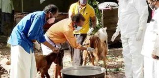 The CPI volunteered to take care of the pets in the covid affected family