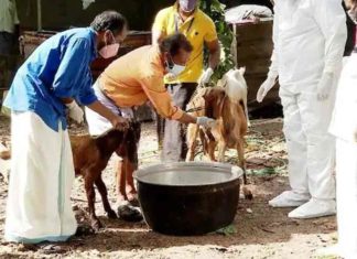 The CPI volunteered to take care of the pets in the covid affected family