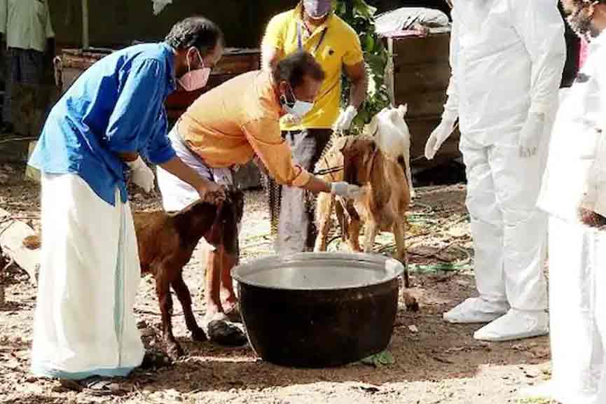 Shubhavartha The CPI volunteered to take care of the pets in the covid affected family