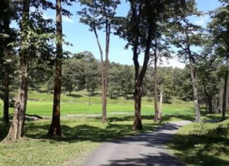 ബസ് സർവീസില്ല; വനത്തിൽ ഒറ്റപ്പെട്ട് ചേകാടി നിവാസികൾ