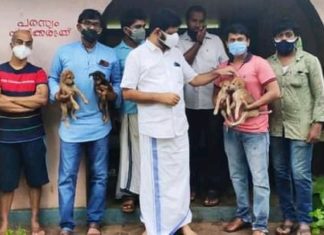 เดคเดฃเตเดคเตเดคเต เดตเดฟเดฑเดเตเดเต เดจเดพเดฏเตโเดเตเดเตเดเตเดเดฟเดเตพ; เดเดฐเตเดคเดฒเดฟเดจเตเดฑเต เดคเดฃเดฒเตเดเดฟ เดชเดพเดฒเดเตเดเดพเดเต เดเดเดชเดฟ