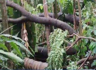 heavy rain destructions