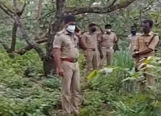 പത്തനാപുരത്ത് ഉഗ്രസ്ഫോടന ശേഷിയുള്ള ബോംബ് ശേഖരം; തീവ്രവാദബന്ധം അന്വേഷിക്കും pathanapuram-kollam