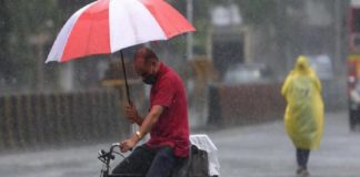 ശക്തമായ മഴയ്ക്ക് സാധ്യത; ഇന്ന് 12 ജില്ലകളിൽ യെല്ലോ അലർട് rain alert