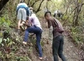 No Internet, Mizoram Students Climb Hill To Catch Signal For Online Test