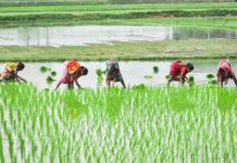 world food safety day