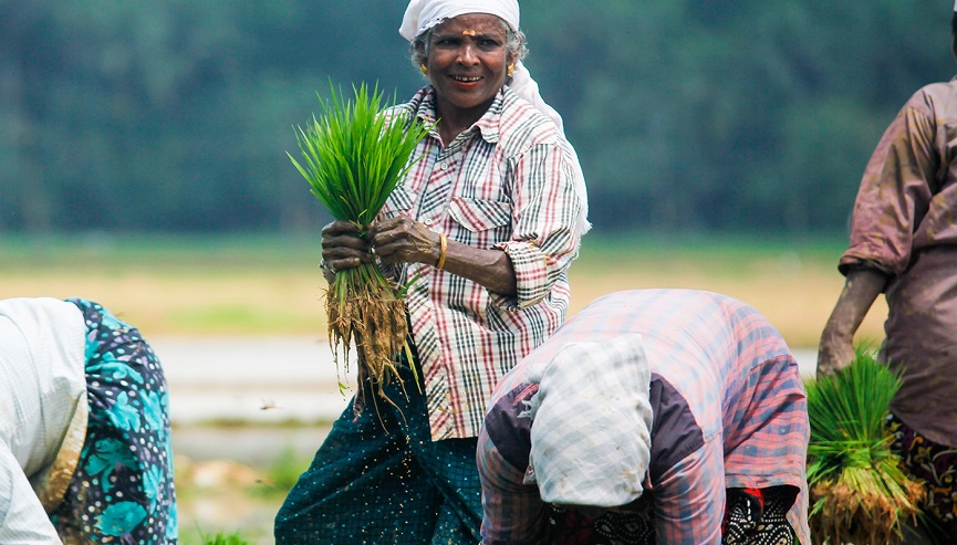 Harithakeralam Photography Award _ Consolation Prize Photo of Gireesh VC