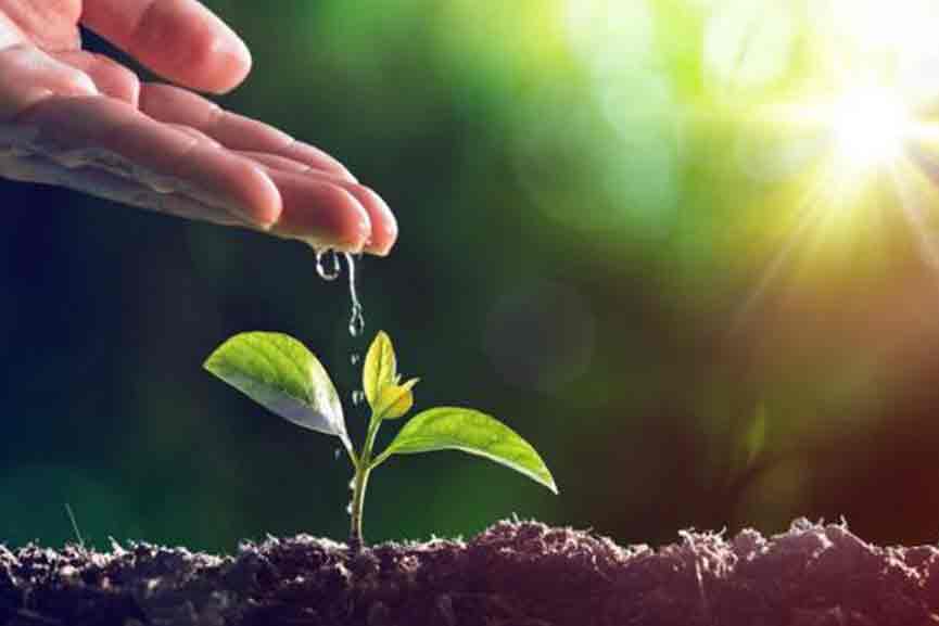 World-Environment-Day 2 lakh medicinal plants of 'Aushadhi' on Environment Day