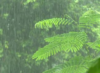 മഴക്ക് ശമനം; സംസ്ഥാനത്ത് മുന്നറിയിപ്പും ജാഗ്രതാ നിർദ്ദേശവും പിൻവലിച്ചു