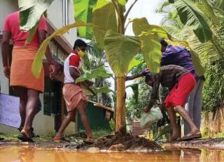 പൊട്ടിപ്പൊളിഞ്ഞ റോഡിൽ വാഴ നട്ട് നാട്ടുകാരുടെ പ്രതിഷേധം The deplorable condition of the road; Locals in protest