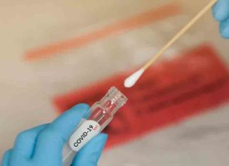 Mandatory covid test in Kasaragod