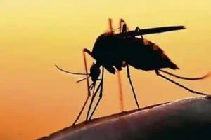 Zika in kerala