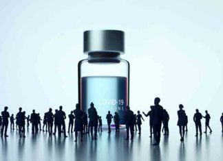 เดเดฟเดฒเตเดฒเดฏเดฟเตฝ เดเดคเตเดตเดฐเต เดตเดพเดเตโเดธเดฟเตป เดธเตเดตเตเดเดฐเดฟเดเตเดเดคเต 7,87,815 เดชเตเตผ Vaccination in Kerala