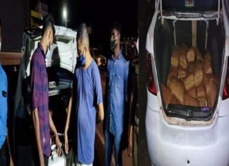 Cannabis seized-palakkad-arrest