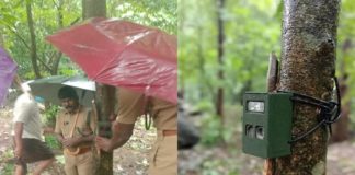 ജനവാസ മേഖലകളിലെ പുലിയുടെ സാന്നിധ്യം; വനം വകുപ്പ് നിരീക്ഷണ ക്യാമറകൾ സ്ഥാപിച്ചു palakkad news