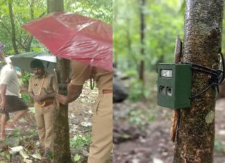ജനവാസ മേഖലകളിലെ പുലിയുടെ സാന്നിധ്യം; വനം വകുപ്പ് നിരീക്ഷണ ക്യാമറകൾ സ്ഥാപിച്ചു palakkad news