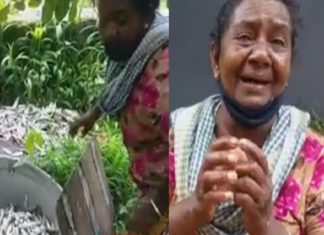 ‘ഞങ്ങൾക്കും ജീവിക്കണ്ടേ സർ’; വയോധികയുടെ മീൻകുട്ട തട്ടിയെറിഞ്ഞ് പോലീസ്; അതിരുകടന്ന് അക്രമം