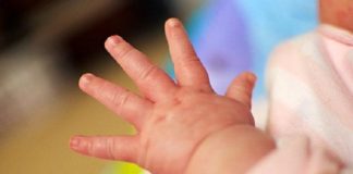 partially eaten remains of baby recovered in up