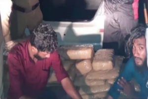 cannabis seized in alathur palakkad