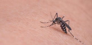 Zika In Kerala