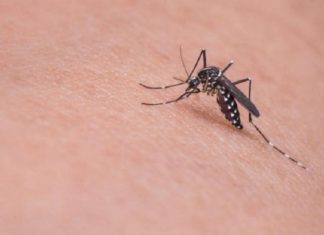 സംസ്ഥാനത്ത് 2 പേർക്ക് കൂടി സിക; ആകെ രോഗികൾ 48 Zika In Kerala