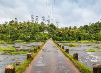 240 ഗ്രാമീണ റോഡുകളുടെ പുനരുദ്ധാരണം സർക്കാർ ഉപേക്ഷിക്കുന്നു rural roads kerala