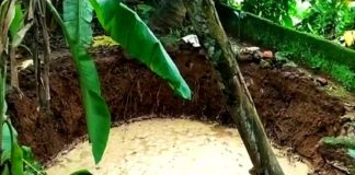 pattambi-pambavasan-well