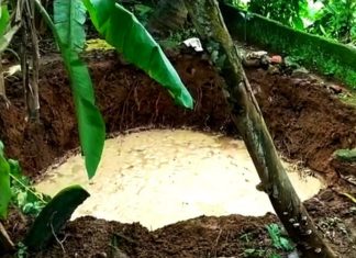 pattambi-pambavasan-well