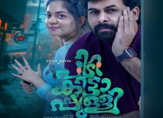 Pidikittapulli Movie