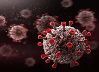 ഡെൽറ്റ വകഭേദത്തിന്റെ വ്യാപനം തടയാൻ ഊർജിതശ്രമം അനിവാര്യം; ലോകാരോഗ്യ സംഘടന WHO About Covid Delta