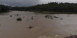 പാതാറിൽ മഴവെള്ളപ്പാച്ചിൽ; തൂതപ്പുഴയിൽ ജലനിരപ്പ് കൂടി; ജാഗ്രതാ നിർദ്ദേശം malappuram news