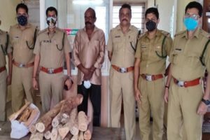 sandal wood seized-thiruvananthapuram