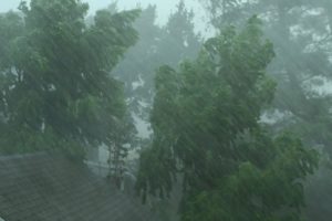 heavy rain in kannur