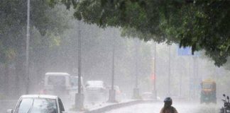 വയനാട്ടിൽ കനത്ത മഴ തുടരുന്നു; താഴ്ന്ന പ്രദേശങ്ങളിൽ വെള്ളം കയറി തുടങ്ങി, ജാഗ്രതാ നിർദ്ദേശം wayanad rain