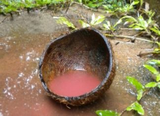 Red Rain In Kozhikode