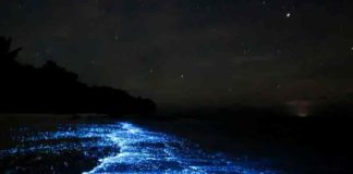 സഞ്ചാരികളിൽ അൽഭുതം നിറച്ച് രാത്രിയിൽ തിളങ്ങുന്ന ബീച്ച്! Kauthuka Vartha