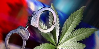 ഓട്ടോയിൽ കറങ്ങി ലഹരി വിൽപന; ഒരാൾ പിടിയിൽ kozhikkode ganja arrest