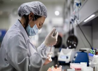 പുതിയ വൈറസ് ‘നിയോകോവ്’ അതിമാരകം, മരണനിരക്കും വ്യാപനശേഷിയും കൂടും; മുന്നറിയിപ്പ് world-covid-update