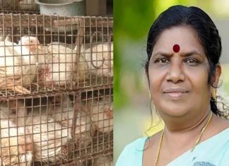 സംസ്ഥാനത്തെ ഇറച്ചിക്കോഴി വില നിയന്ത്രിക്കും; മന്ത്രി ചിഞ്ചു റാണി Chinchurani