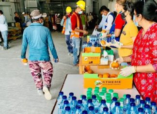 ഐസിആർഎഫ് ‘തേർസ്റ്റ് ഖൊഞ്ചേഴ്സ് 2021’ പരിപാടിയുടെ രണ്ടാം ഘട്ടം നടന്നു icrf-thirst-quenchers-2021-event-has-taken-place