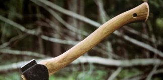 เดฎเตเดเตเดเดฟเตฝ เดฎเดฐเดเดฎเตเดฑเดฟ เดตเดฟเดตเดพเดฆเด; เดเตปเดเดฟ เดธเดพเดเดจเต เดธเดธเตโเดชเตเตปเดกเตโ เดเตเดฏเตเดฏเดพเตป เดถเตเดชเดพเตผเดถ Recommendation to suspend NT Sajan on Wood-Smuggling