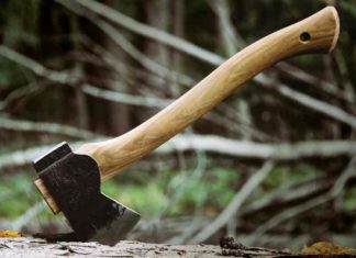 Recommendation to suspend NT Sajan on Wood-Smuggling