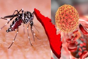 Zika In Kerala