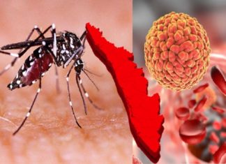 സിക: സംസ്ഥാനത്ത് ചികിൽസയിൽ 8 പേർ; നിയന്ത്രണ വിധേയമാകാൻ 2 മാസം വേണ്ടിവരും Zika In Kerala