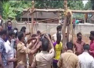 accident while cleaning well in kollam 3 died