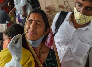 india covid update
