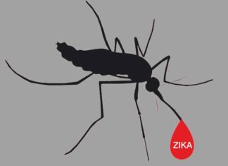 തിരുവനന്തപുരത്ത് 9 വാര്ഡുകൾ സിക ഭീതിയിൽ Zika-Virus in Thiruvananthapuram