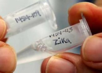 സംസ്ഥാനത്ത് ഒരാള്ക്ക് കൂടി സിക വൈറസ് ബാധ Zika-Virus-kerala